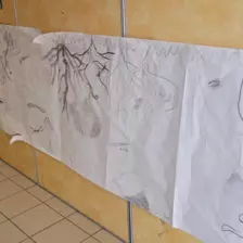 Centre de Bains & Solignac - Mercredis - Galerie Les vers de terres