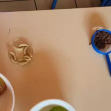 Centre de Bains & Solignac - Mercredis - Galerie Les vers de terres