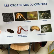 Centre de Bains & Solignac - Mercredis - Galerie Les vers de terres