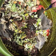 Centre de Bains & Solignac - Mercredis - Galerie Les vers de terres